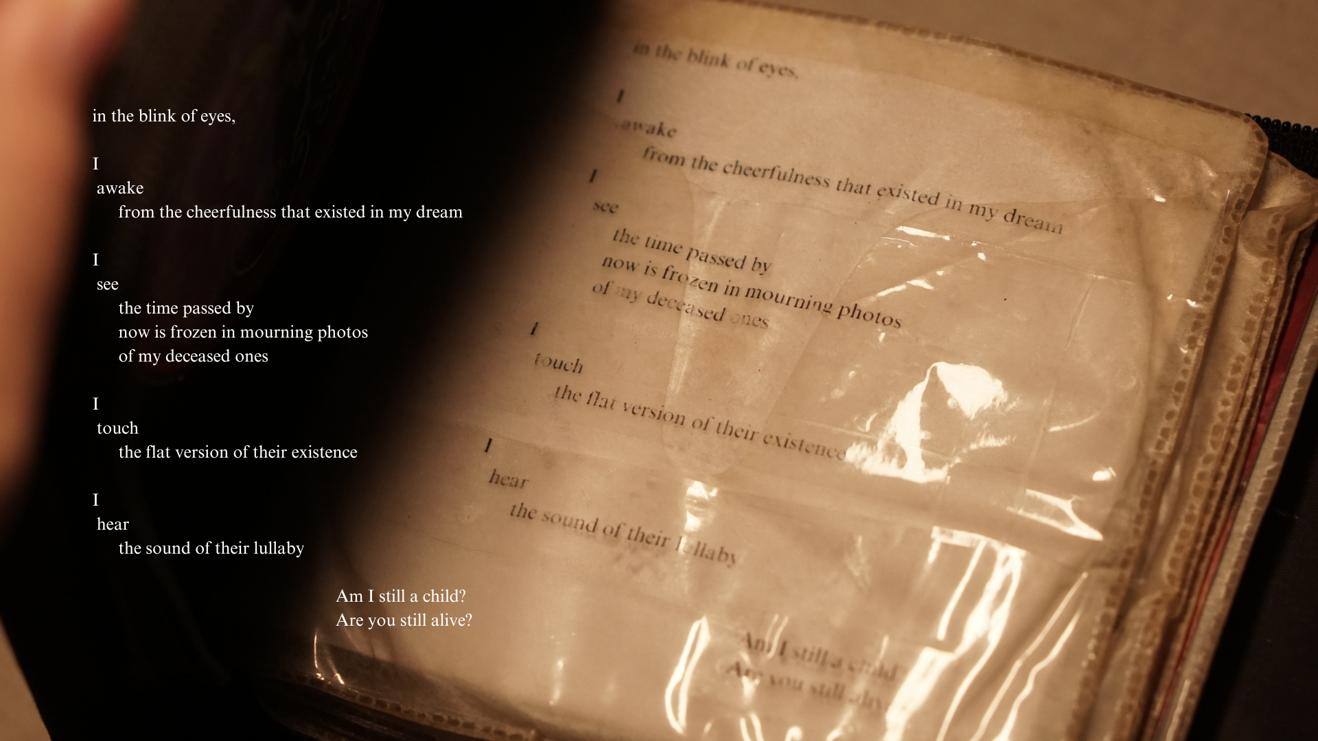 (signed) This Is Not What Thought / Yuri Hasegawa